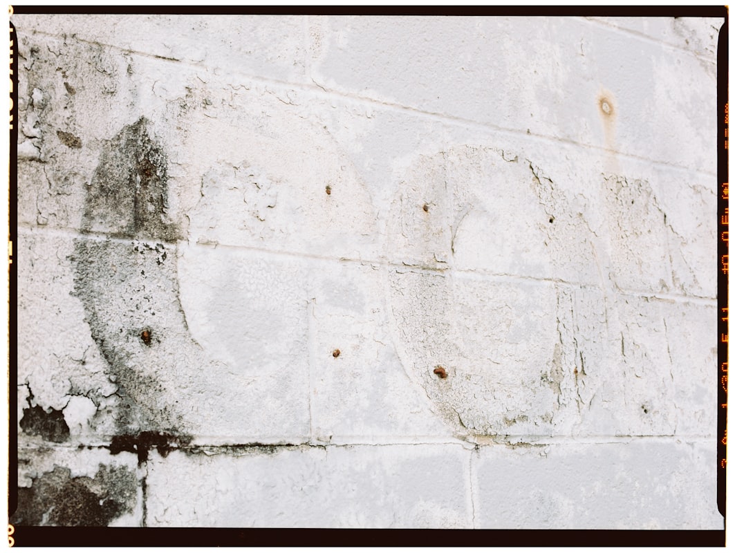 Commercial Water Damage service in Westland, MI