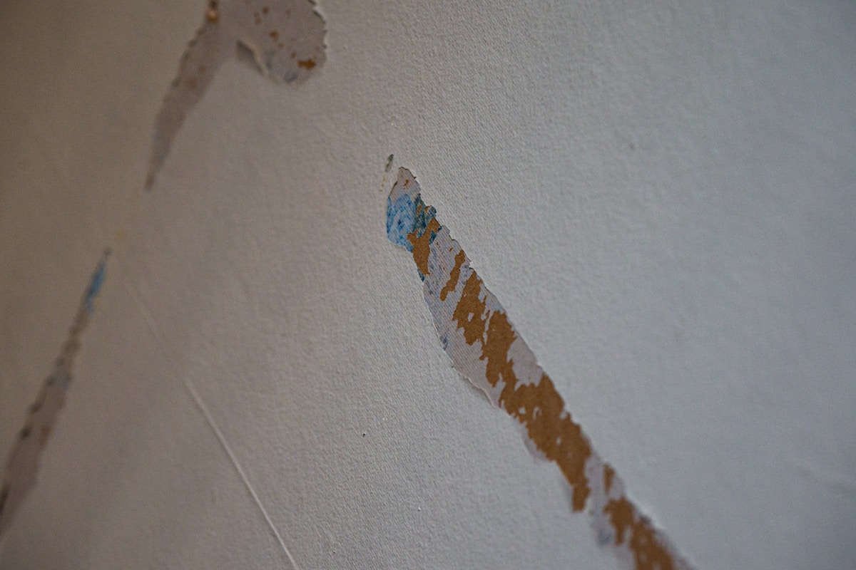 Basement Water Removal service in Westland, MI